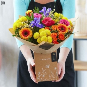 Spring Flowers